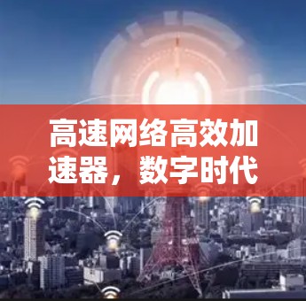高速网络高效加速器,数字时代构建高效传输的未来