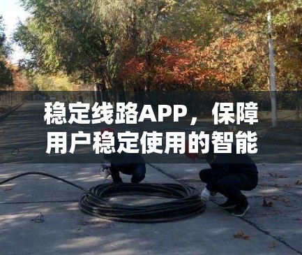稳定线路APP,保障用户稳定使用的智能解决方案