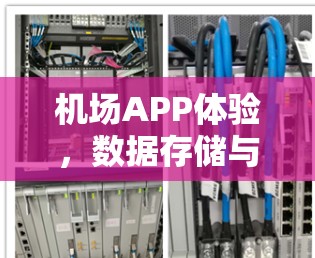 机场APP体验,数据存储与网络优化的双刃剑 机场APP体验,数据存储与网络优化的双刃剑