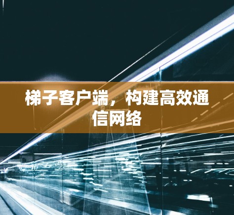梯子客户端,构建高效通信网络