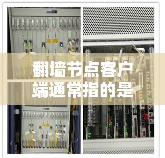 翻墙节点客户端通常指的是那些能够处理和过滤网络流量的客户端软件,通常与网络安全相关的技术如防火墙、VPN、端口伪装等。这些客户端主要用于确保用户能够安全地访问网络资源,避免恶意软件、钓鱼邮件等攻击
