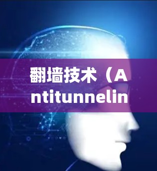 翻墙技术(Antitunneling)是一种技术,用于阻止IP地址在互联网上被隐藏或隐藏起来,从而保护用户免受网络攻击和隐私泄露的风险。翻墙技术分为两种,物理翻墙和软件翻墙