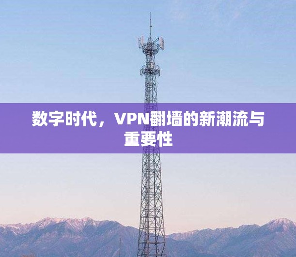 数字时代，VPN翻墙的新潮流与重要性