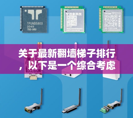 关于最新翻墙梯子排行，以下是一个综合考虑的各种因素下的排序，供参考
