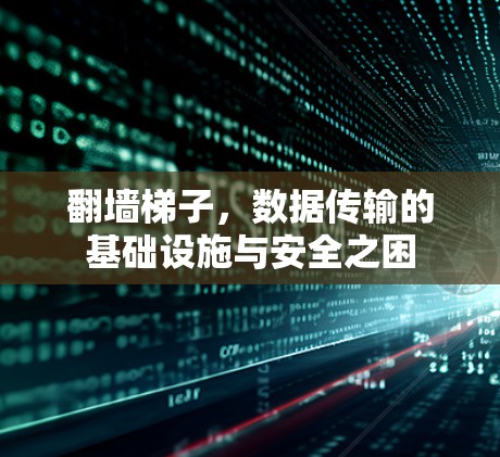 翻墙梯子,数据传输的基础设施与安全之困
