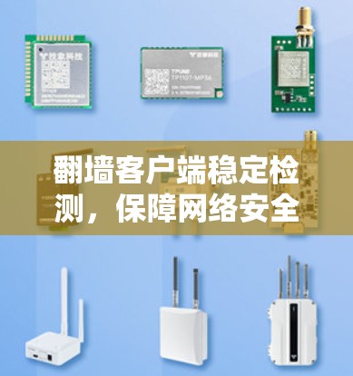 翻墙客户端稳定检测，保障网络安全的新途径