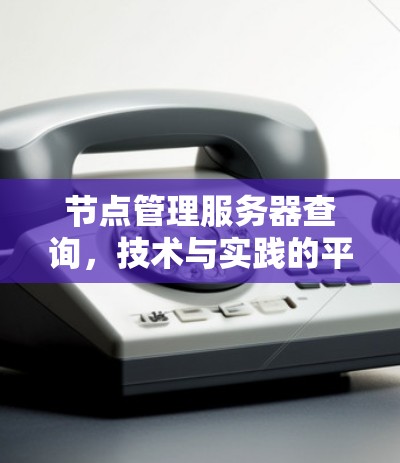 节点管理服务器查询,技术与实践的平衡 节点管理服务器查询,技术与实践的平衡