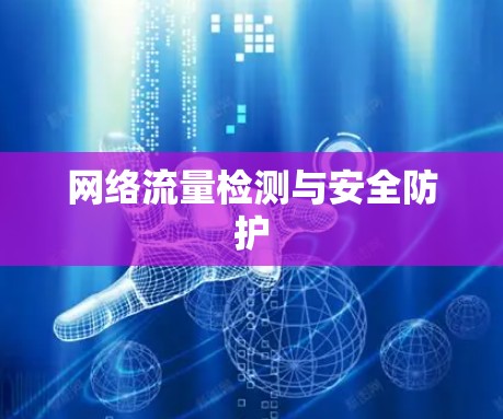 网络流量检测与安全防护 网络流量检测与安全防护