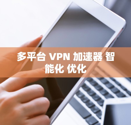 多平台 VPN 加速器 智能化 优化