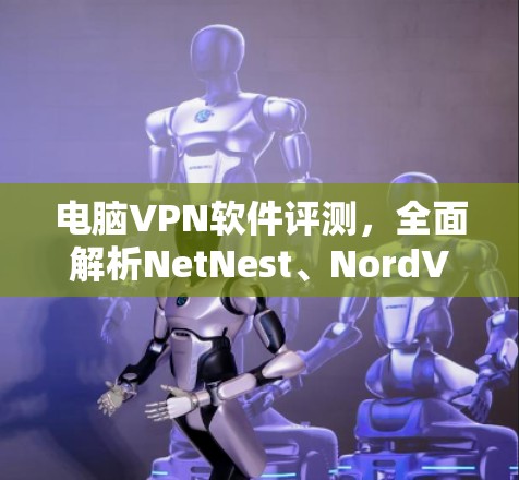 电脑<strong>VPN软件</strong>评测，全面解析NetNest、NordVPN和VidOnion