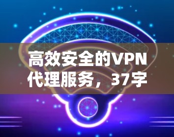 高效安全的VPN代理服务,37字说明