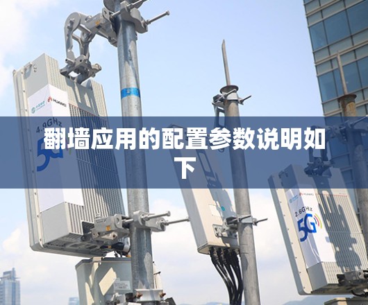 翻墙应用的配置参数说明如下