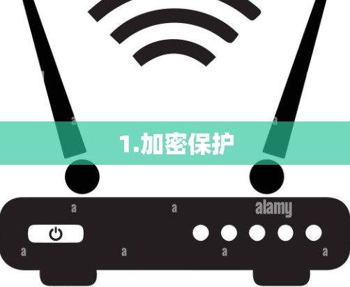 1.加密保护 1.加密保护