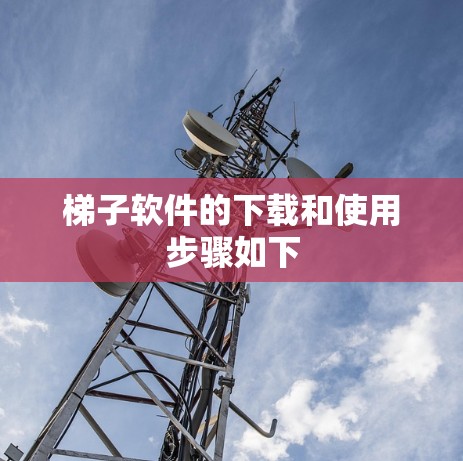 梯子软件的下载和使用步骤如下