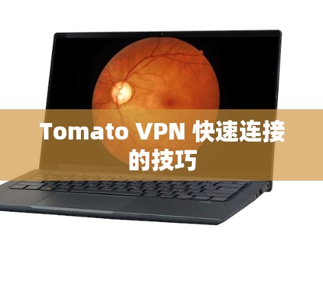Tomato VPN 快速连接的技巧