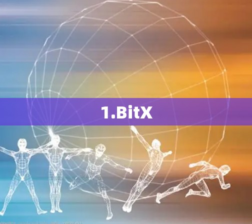 1.BitX