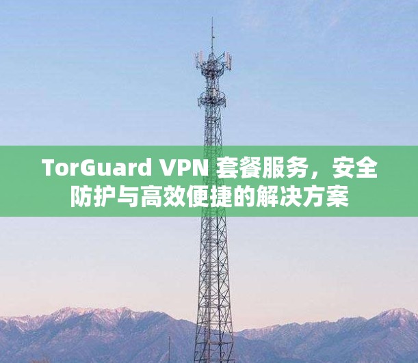 TorGuard VPN 套餐服务，安全防护与高效便捷的解决方案