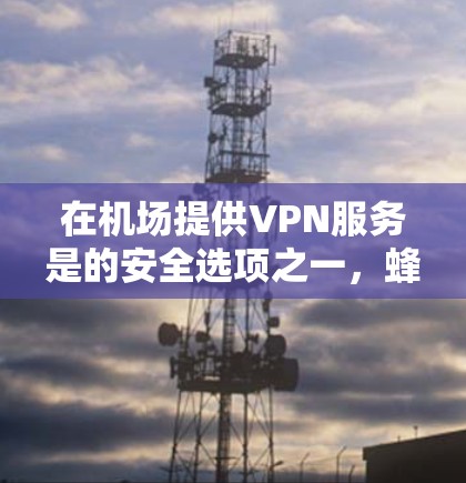 在机场提供VPN服务是的安全选项之一，蜂鸟作为一家知名的VPN服务提供商，可能在机场提供过类似服务。然而，具体的设施和可用性取决于机场的具体情况和蜂鸟的运营模式