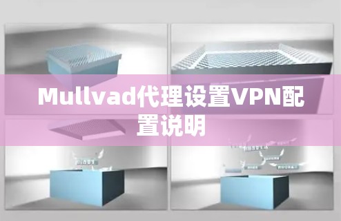 Mullvad代理设置VPN配置说明 Mullvad代理设置VPN配置说明