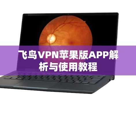 飞鸟VPN苹果版APP解析与使用教程 飞鸟VPN苹果版APP解析与使用教程