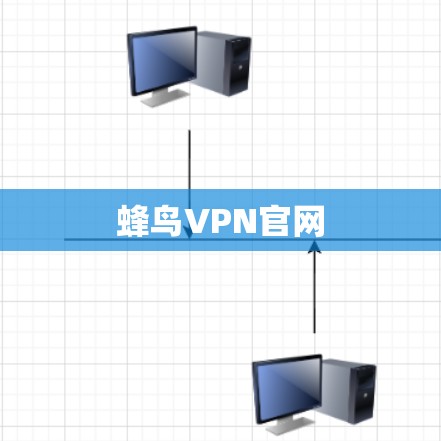 蜂鸟VPN官网