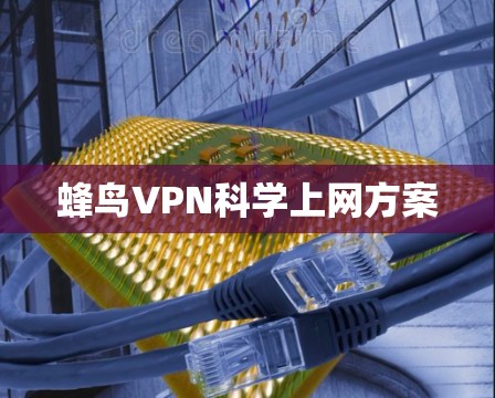 蜂鸟VPN科学上网方案