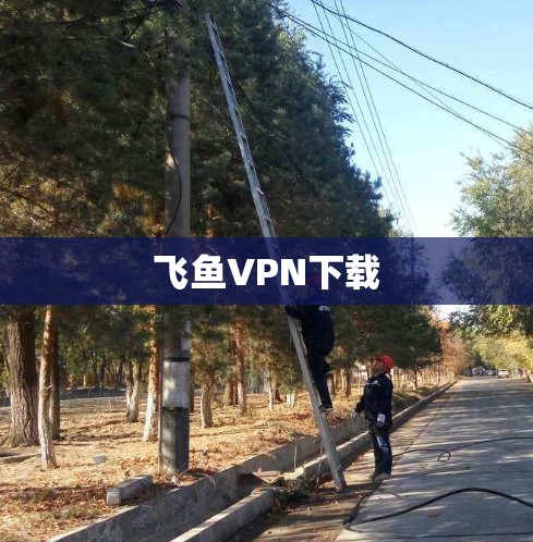 飞鱼VPN下载 飞鱼VPN下载