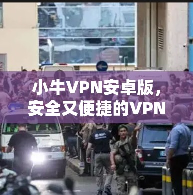 小牛VPN安卓版，安全又便捷的VPN解决方案