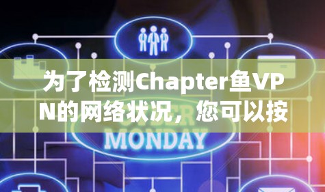 为了检测Chapter鱼VPN的网络状况，您可以按照以下步骤进行