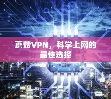 蘑菇VPN，科学上网的最佳选择