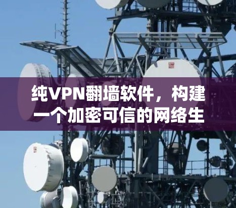纯VPN翻墙软件，构建一个加密可信的网络生态系统